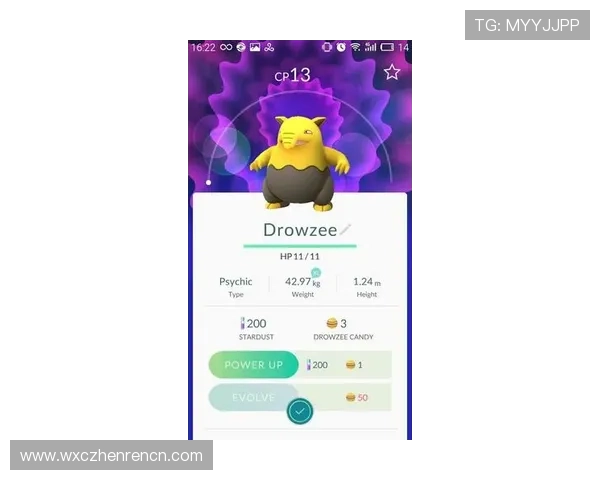 真人视讯网站登录入口常见问题与解决方案详细解析