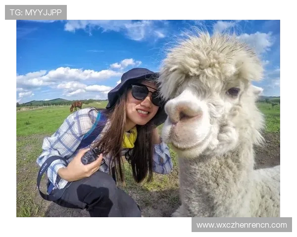 BG大游真人登录线路保障玩家顺畅体验的详细指南与最新优化方案 BG大游真人登录线路保障玩家顺畅体验的详细指南与最新优化方案